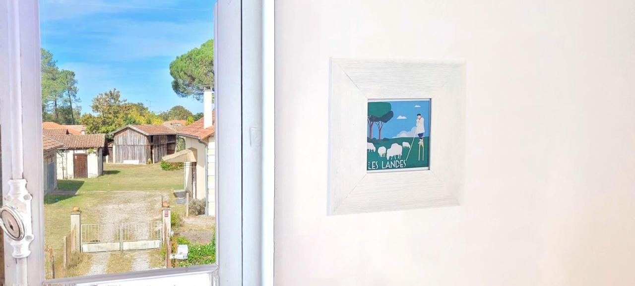 Charmante Maison Dans Les Landes X 10 Avec Piscine Et Salle D Escalade Lue ภายนอก รูปภาพ
