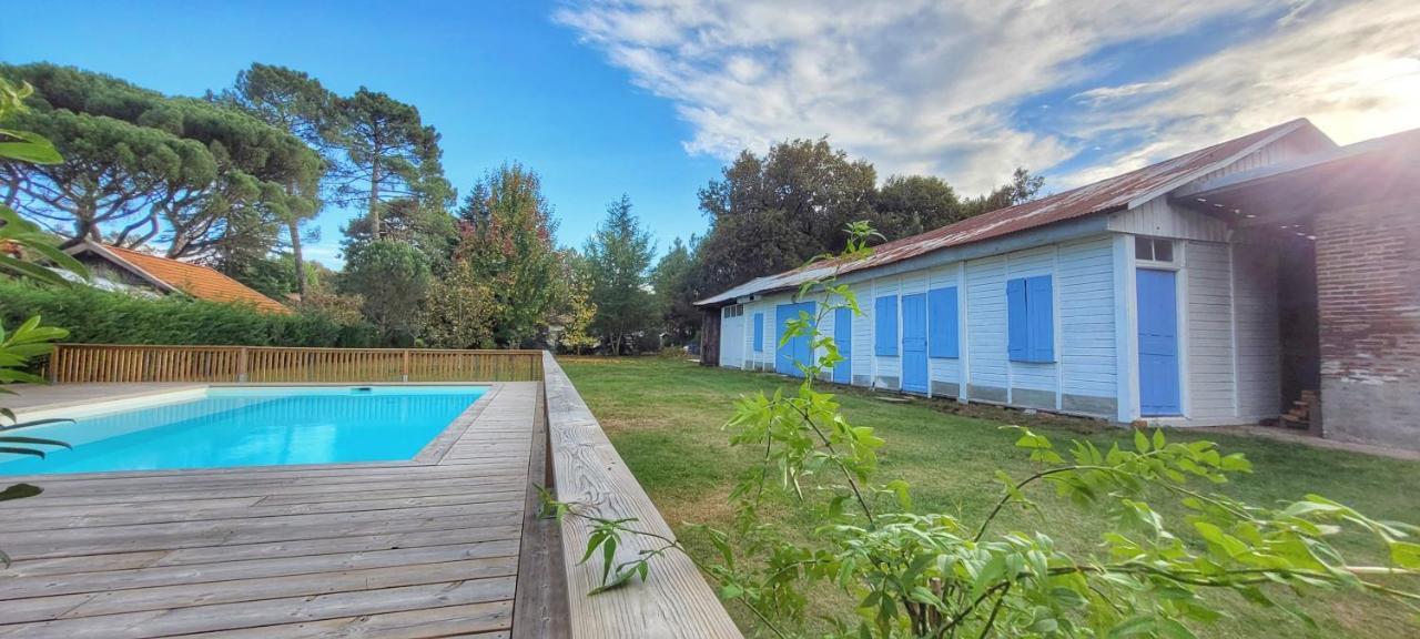 Charmante Maison Dans Les Landes X 10 Avec Piscine Et Salle D Escalade Lue ภายนอก รูปภาพ